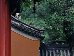 -灵谷景区
