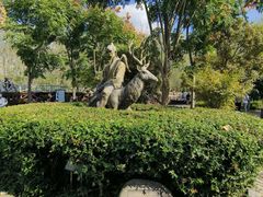 -溱湖国家湿地公园