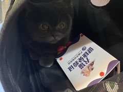 -严国平动物医院(德政总院)