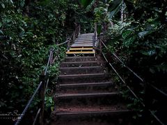 -武吉知马自然保护区