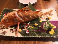 北海道金吉鱼-熹炭精致日料(金融街购物中心店)
