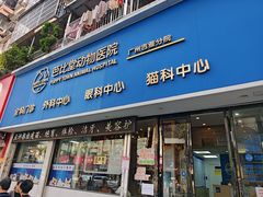 -芭比堂动物医院·心脏科·老年急重症·夜诊·吉雅分院