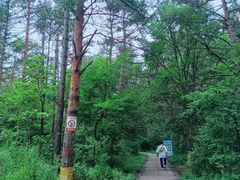 -帽儿山国家森林公园