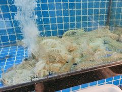 -碧海银沙海鲜餐厅(恒大海上威尼斯店)
