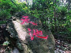 -青龙山国家森林公园