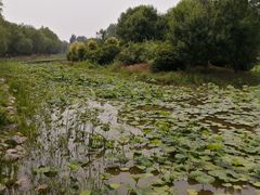 -东郊湿地公园