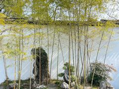 -上海醉白池公园