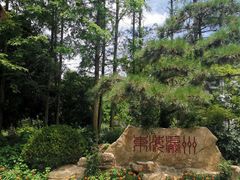 -东平国家森林公园
