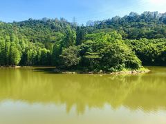 -滴水岩森林公园