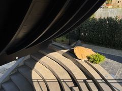 -罗浮山嘉宝田森林温泉度假酒店