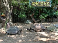-广州长隆飞鸟乐园