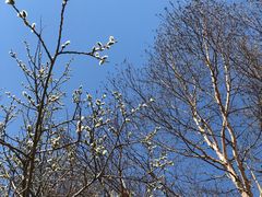 -白草畔自然风景区
