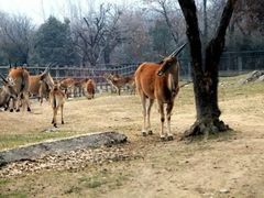 -西安秦岭野生动物园