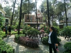 -铁山坪森林公园