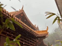-深圳仙湖植物园
