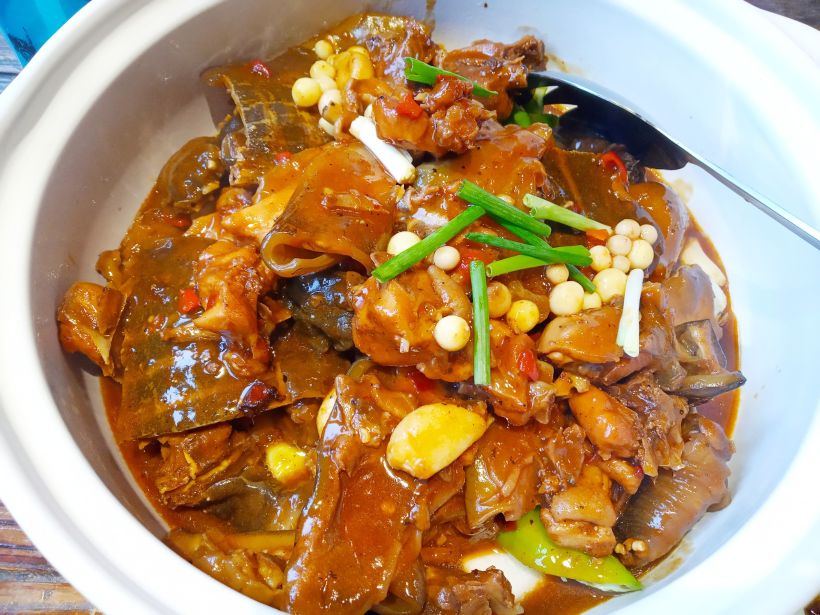 【开学季】甲鱼土鸡一锅端