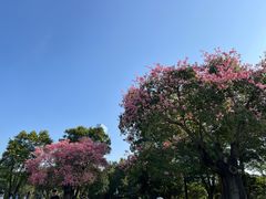 -荔香公园