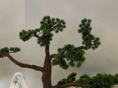 -茶小点(丽悦新天店)