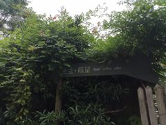 -杭州西湖风景名胜区-满觉陇四眼井