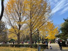 -玲珑塔公园