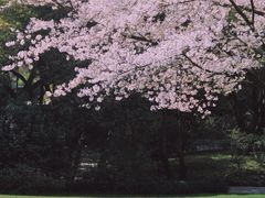 -中国茶叶博物馆(双峰馆区)