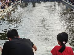 -DGE季风钓虾营地·团建·聚会