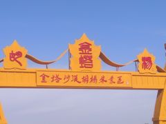 -金塔沙漠胡杨林景区