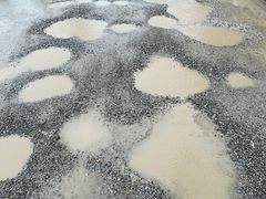 -嘉北郊野公园