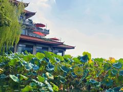 -湖畔居茶楼(湖滨店)
