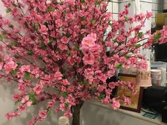 -一杯潮茶·专注潮汕茶饮(十二中创始店)