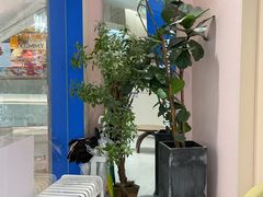 -天真蓝照相馆(杭州滨江宝龙店)