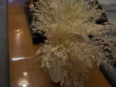 -浅深Cheersum(曹杨店)
