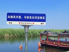 -白洋淀景区