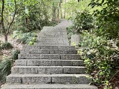 -紫金山天文台