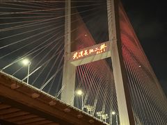 -武汉知音号