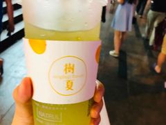 -树夏(建设路店)