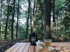 -南山植物园