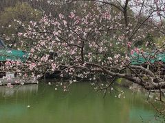 -南山风景名胜区