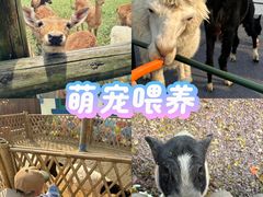 -栖露营camping·天幕烧烤·团建拓展·采摘营地
