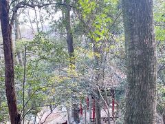 -岳麓山风景名胜区