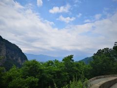 -牛背梁国家森林公园