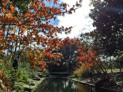 -上海共青森林公园