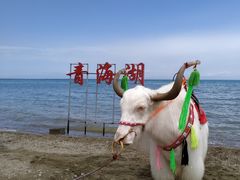 -青海湖国家重点风景名胜区