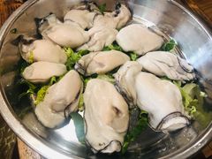 生蚝-丰尔粥食·粥底火锅·桑拿鸡(大良总店)