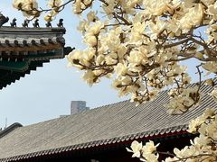 -天津大悲禅院