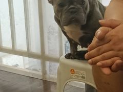 -柯斗斗主题餐厅·狗咖·围炉煮茶·茶饮(国瑞升平里店)