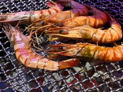 -釜山火炉·海鲜烤肉(紫藤路店)
