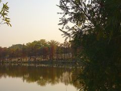-东莞植物园