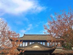 -春色如许·茶食餐厅(桃李春风店)