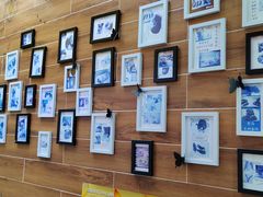 -美联众合宠物医院·爱萌分院·内外科·猫科中心